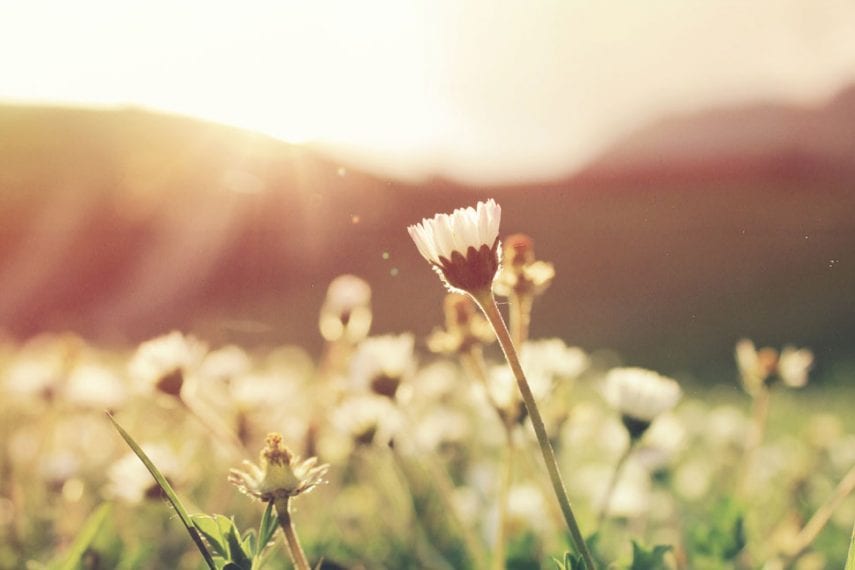 Battling Addiction: How the Cultural Perception of the ‘Addictive Personality’ Hurts