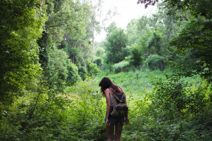 Harnessing the Healing Power of Nature in Dual Diagnosis Treatment