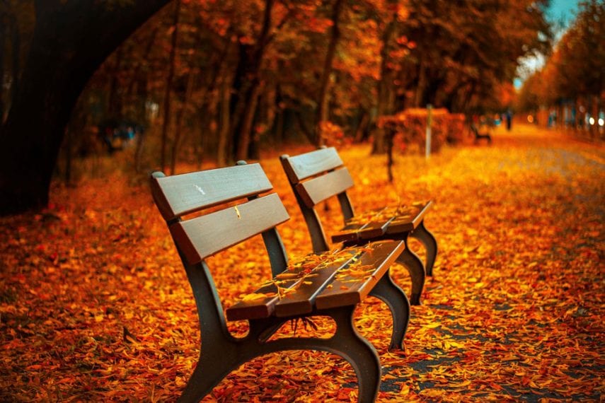 Pause for the Present: Treating Addiction With Mindfulness-Based Stress Reduction Therapy