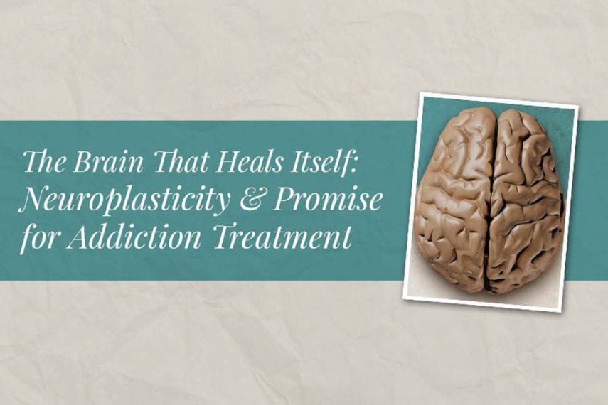 The Brain That Heals Itself: Neuroplasticity and Promise for Addiction Treatment