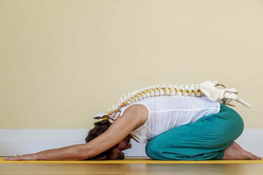 Physical Therapy in Drug and Alcohol Recovery