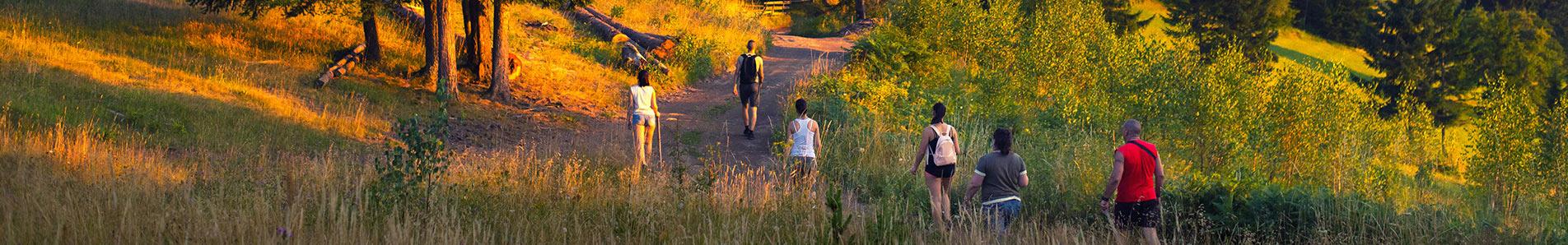 Misusing alcohol over a long period of time can cause or contribute to a number of problems related to physical and mental health, relationships, work, finances, and other areas of life. In terms of health, alcohol abuse has been found to put people at risk for long-term chronic illnesses like diabetes and heart disease. It can permanently damage the brain and contribute to dementia. Alcohol abuse damages the liver, which can lead to long-term disease that when severe is not reversible. Ultimately, misusing alcohol can cause death, but it can also be treated. Treatment can help anyone stop drinking and prevent or reverse many of these long-term effects.